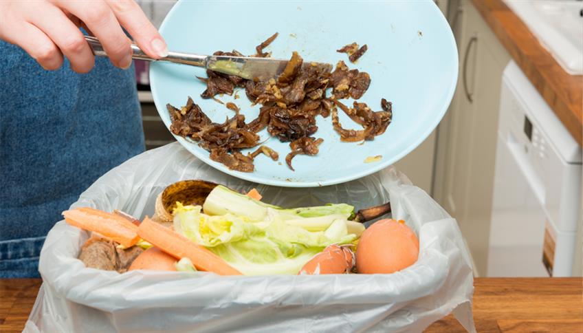 Spreco alimentare Spreco alimentare